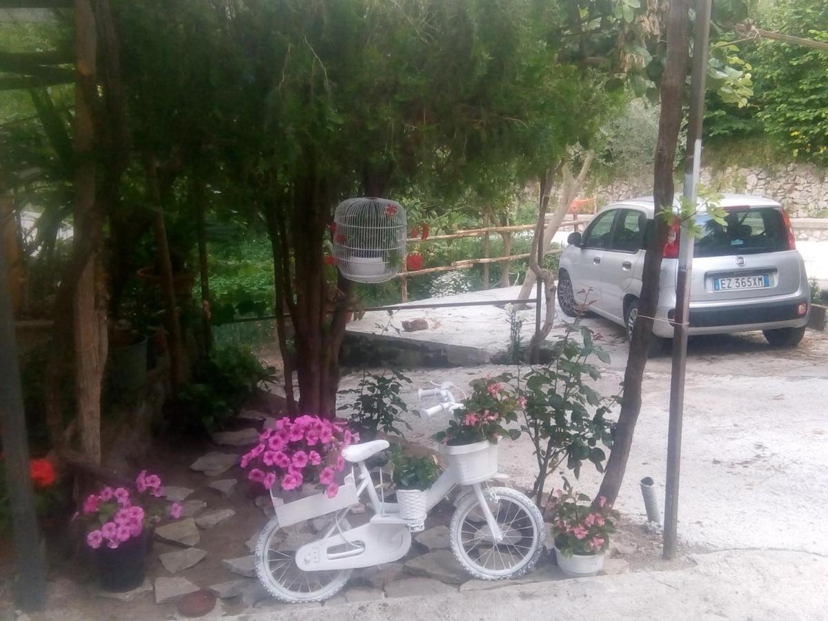 Amaa Casa Bed & Breakfast Vico Equense Exterior foto
